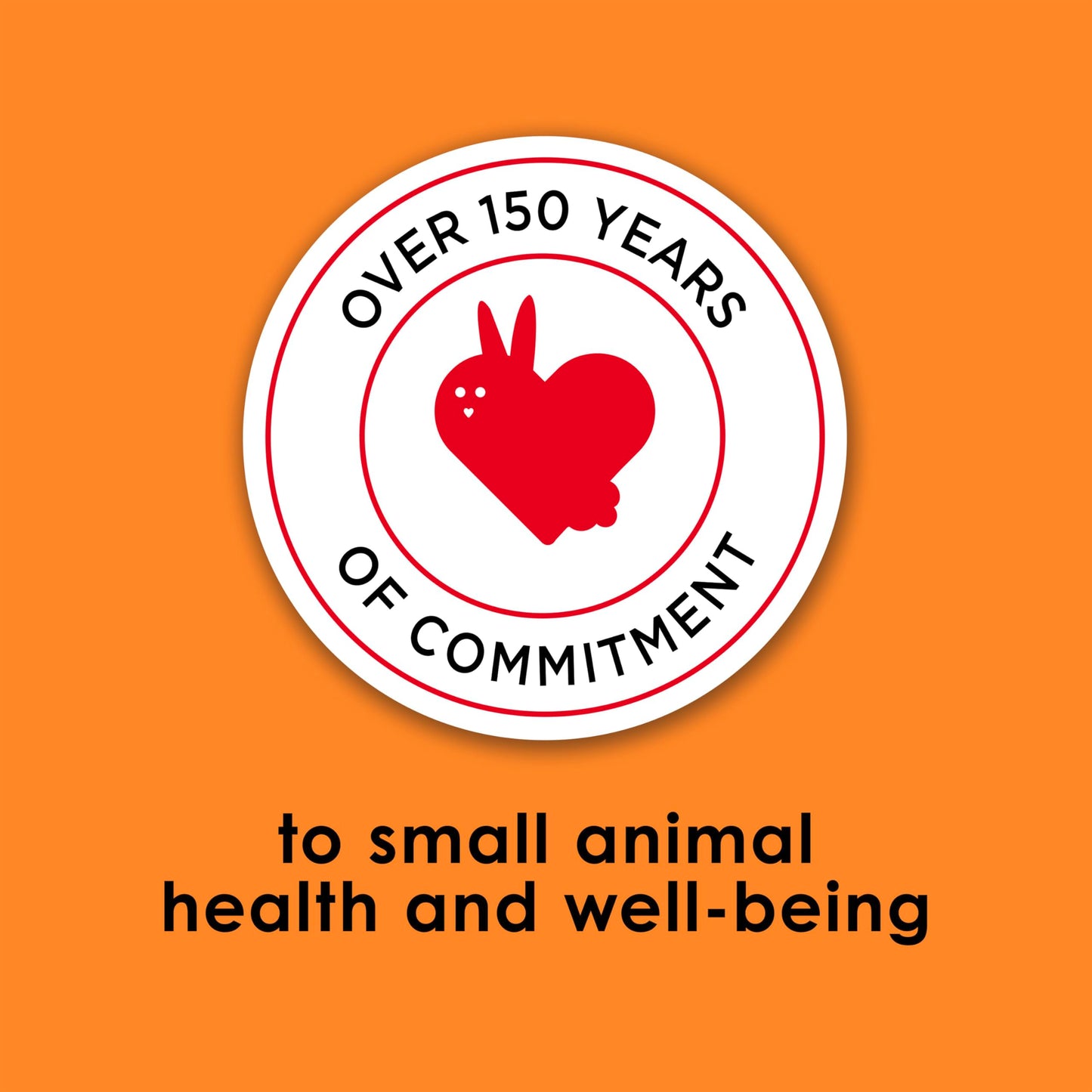 Kaytee Fiesta Rabbit Food, Nutritious and Fun Blend, Supports Dental Health and Digestion, 20 pounds