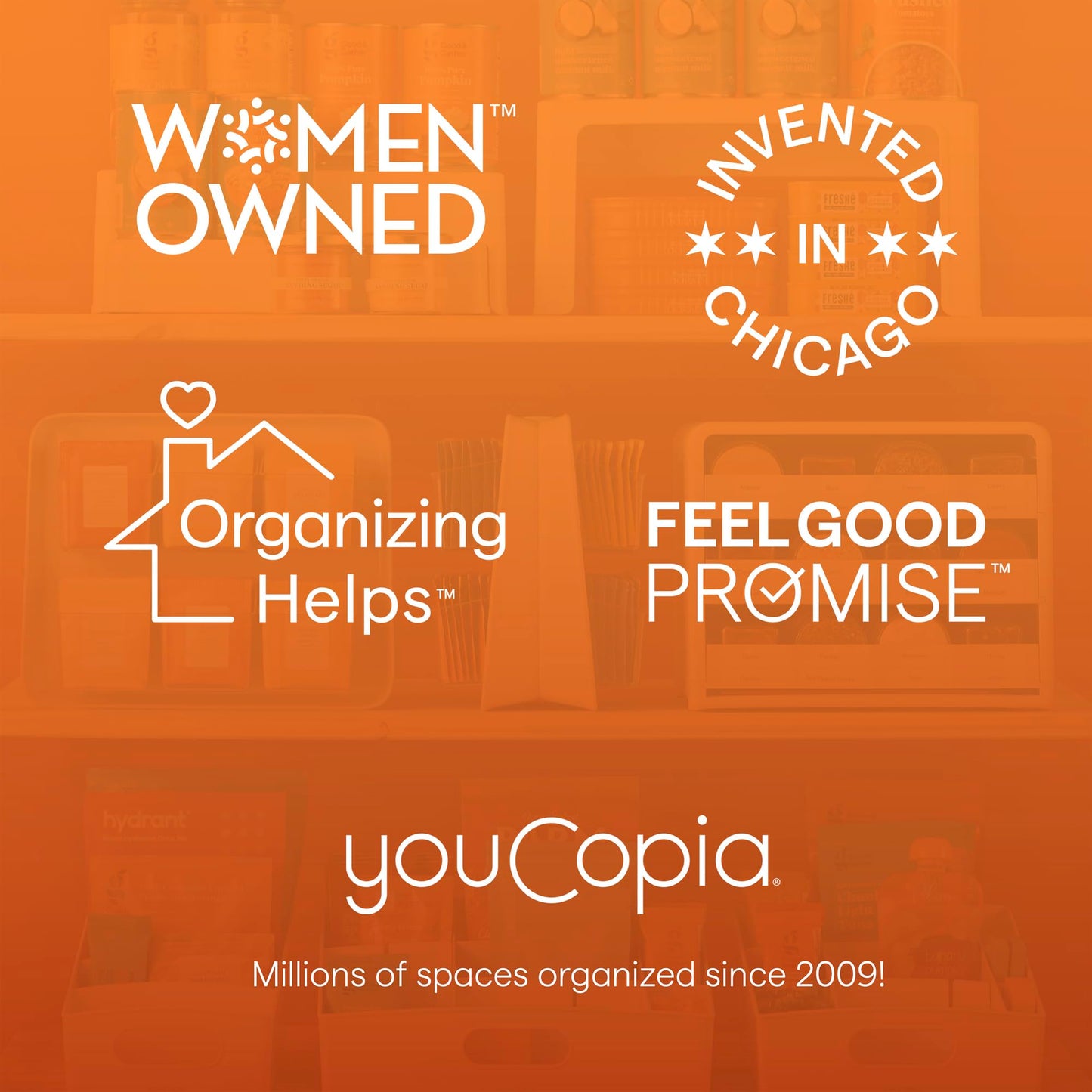 YouCopia ShelfBin Packet Organizer, 4-Tier Stairstep Raised Divided Bin, BPA-Free Storage Caddy for Kitchen Pantry and Cabinet Organization, Tea Bags, Medicine, and More