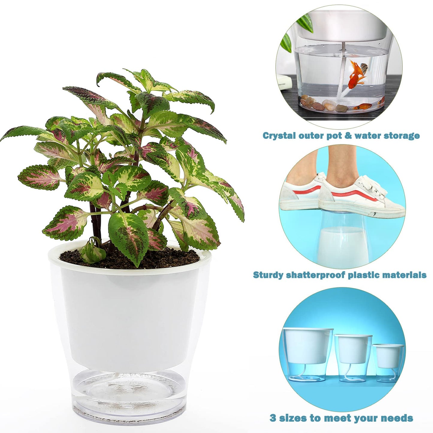 5-Pack 4.3 Inches Clear Self-Watering Planters Small African Violet Pots Plastic Plant Pots Wicking Flower Pots for Indoor Plants, Herbs, African Violet, Ocean Spider Plant, Orchid Pot, Garden Pots