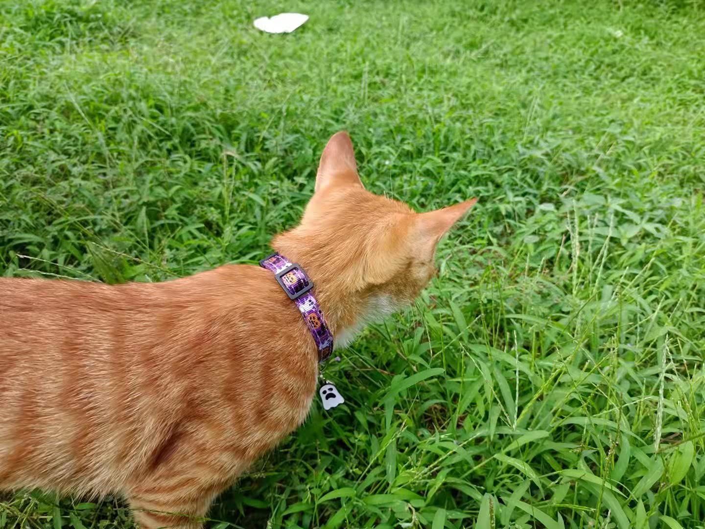 Giecooh 2 Pack Cat Collar Breakaway with Bells, Adjustable Cute Tribal Pattern Kitten Safety Collars for Boys & Girls, Purple + Black