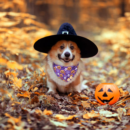 EXPAWLORER Halloween Dog Collar and Leash Set - Dog Bow Tie and Dog Bandana Collar with Bell, Dog Leash Tangle Free, Adjustable Collars for Small Medium Large Dogs Cats, Holiday Ideal Gift for Pets