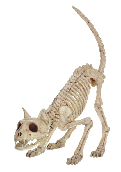 Crazy Bonez Skeleton Cat - Lil' Kitty Bonez