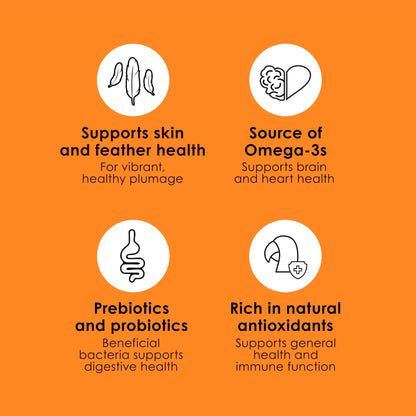 Kaytee Fiesta Parrot Food, Nutritious and Fun Blend, Supports Skin, Feather, Digestion, Brain and Heart Health, 4.5 pounds