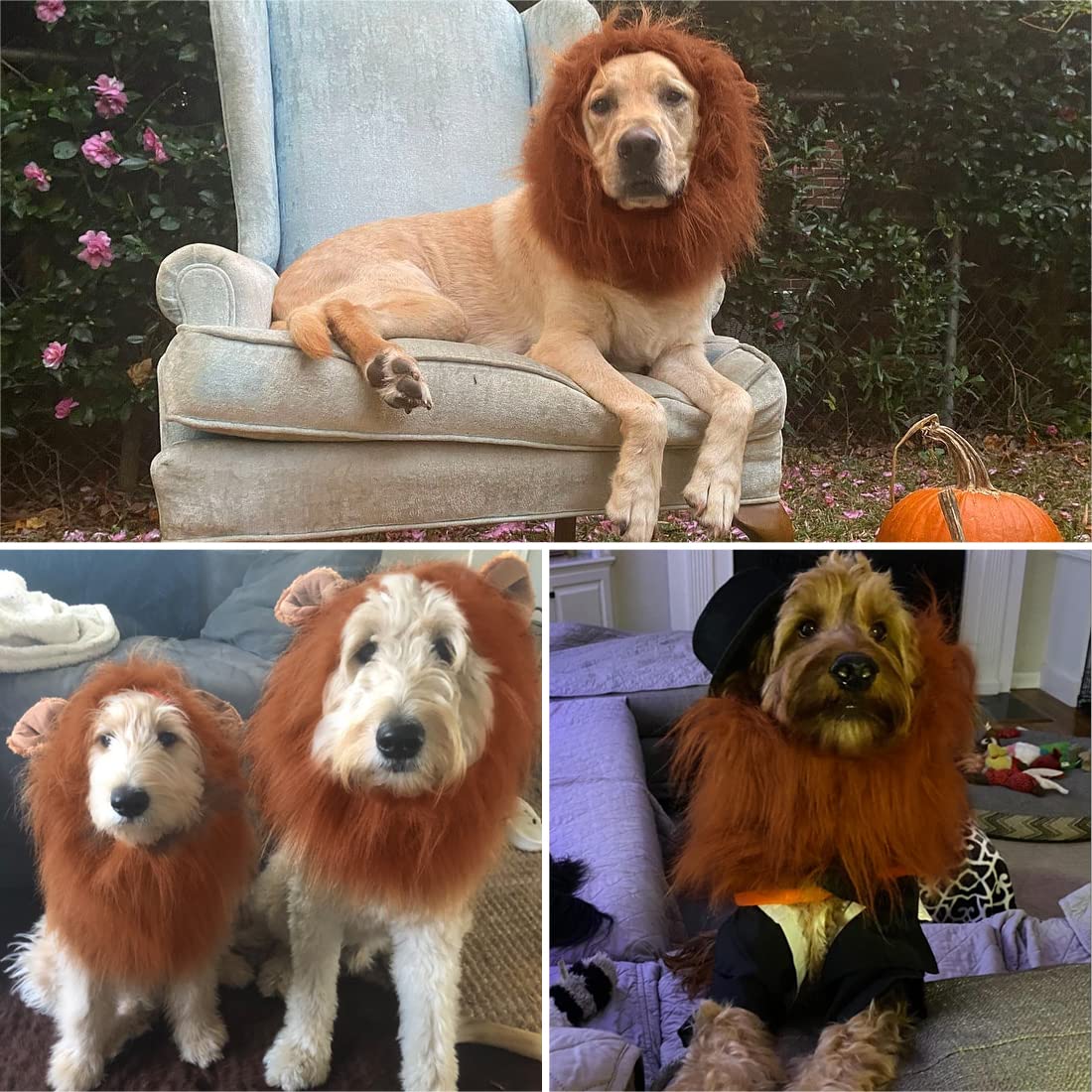 CPPSLEE Lion Mane for Dog Costumes, Realistic Wig for Medium to Large Sized Dogs, Halloween Costumes (Dark Brown)