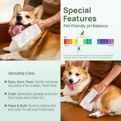 HICC PET Wipes for Dogs & Cats, Vet Recommended Cleansing Deodorizing & Soothing Allergy Infections Anal Gland Wipes with Coconut Oil, Dog Wipes for Cleaning Butt Paw, Remove Small Animal Coat Stain
