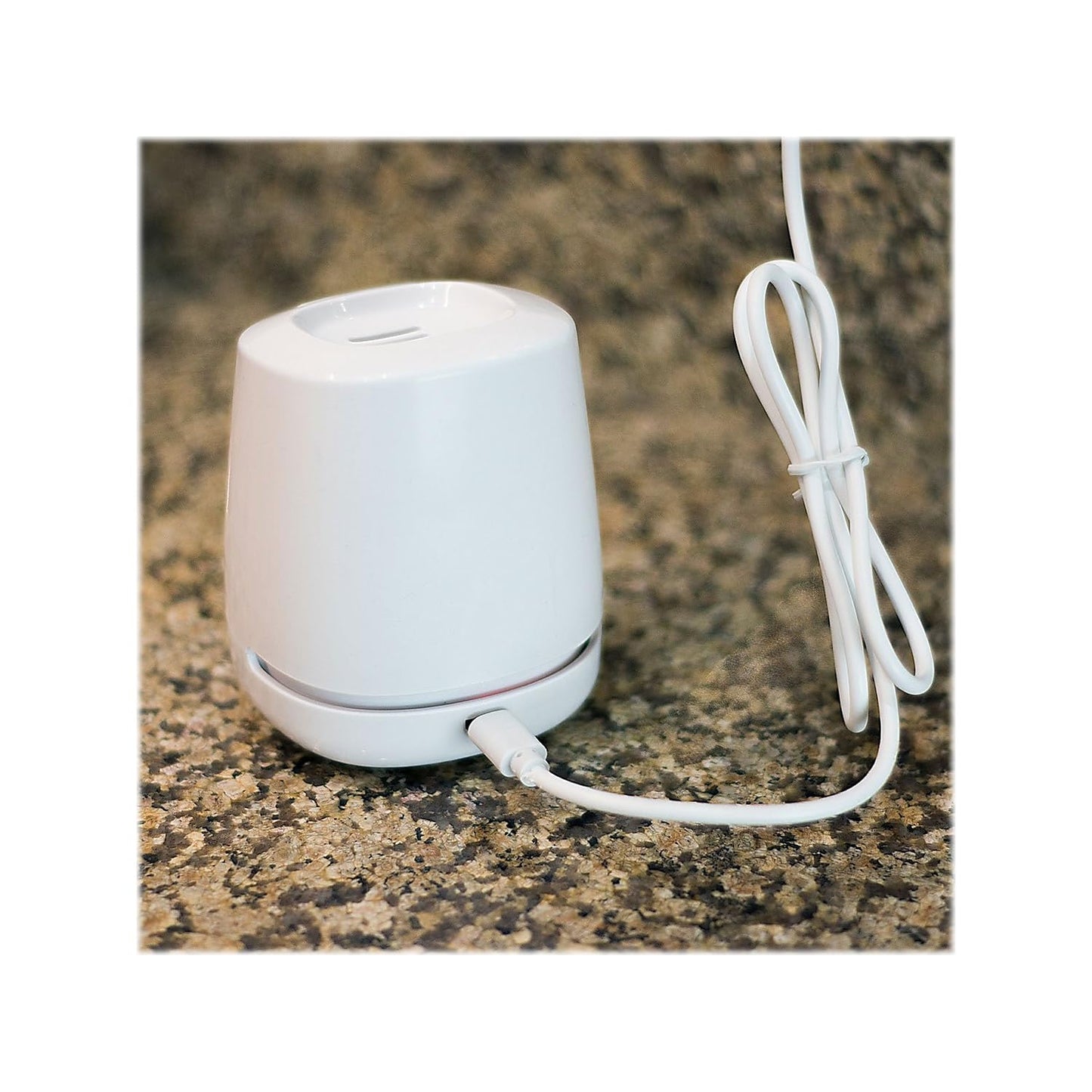 Greentech Environmental pureAir FRIDGE - Refrigerator Odor Eliminator and Air Freshener - Extends Life of Food - Home Essentials For Mini, Small, and Large Fridges