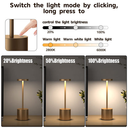 YIBEN 2Pack Cordless Table Lamp, Rechargeable LED Battery 5000mAh Metal USB Portable Powered Desk Lamp, 3 Levels Brightness Light for Restaurants Outdoor (2pack 10.25in Titanium)