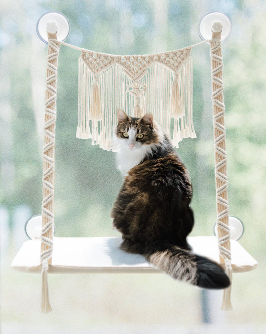 Dahey Macrame Cat Window Perch Boho Cat Hammock Wall Mounted Pet Resting Seat Bed for Indoor Cats Space Saving kitty Sunny Swing Shelf on Window Safety Holds up to 45 lbs with Screw Suction Cups, Gift