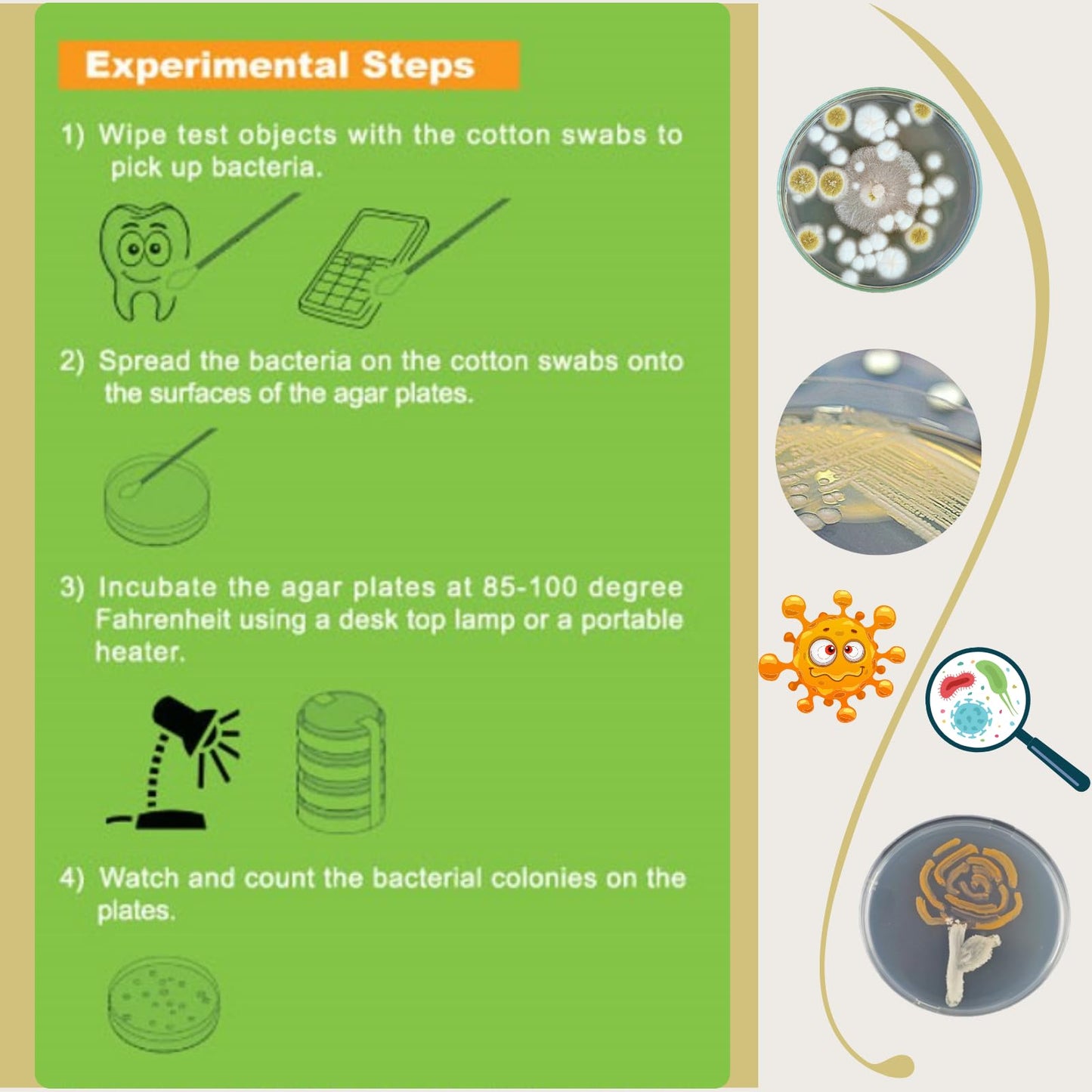 EZ BioResearch Bacteria Science Kit (IV) (Gift Pack): Prepoured LB-Agar Plates and Cotton Swabs. Exclusive Free Science Fair Project E-Book Packed with Award Winning Experiments. (IV Gift Pack)