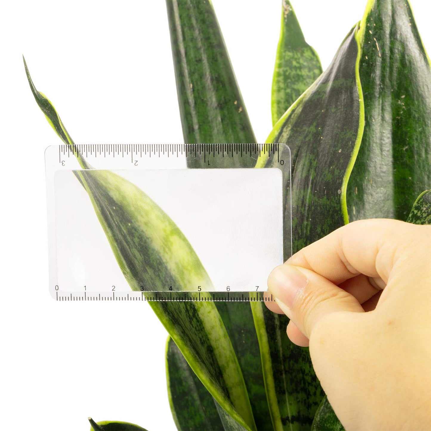 Frienda 20 Pieces Pocket Magnifying Glass Fresnel Lens Credit Card Pocket Magnifier Plastic Ruler Starting Solar Fire Emergency Bushcraft Outdoor Survival Leisure for Classroom Home Office