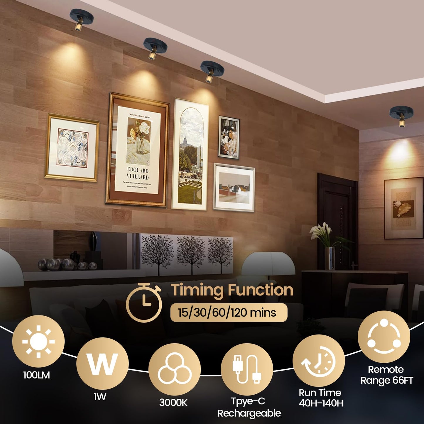 HAMVIDNE LED Spotlight, Rechargeable Battery Spot Lights with Remote, Uplighting Indoor, Stick Plant Spotlights for Wall Art Display Artwork Picture Painting-2Pack