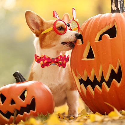 Elegant little tail Dog Collar with Bow - Fall Dog Collar Halloween Pumpkin Bow Girl Boy Pet Collar Soft Dog Bowtie Collars for Medium Dogs
