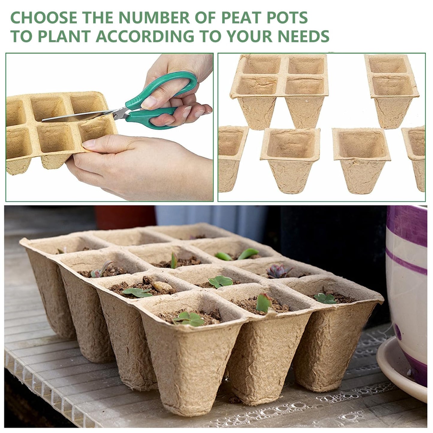 Doubleggs 120 Cells Seed Starter Tray, 10 Pack Biodegradable Peat Pots with 100 Labels, Plant Starter Kit for Seedlings