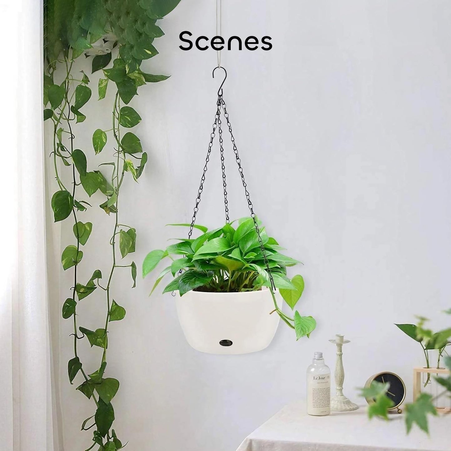 GROWNEER 2 Packs 9.4 Inches Plastic Hanging Planter Self Watering Basket with 6 Pcs Hooks, Hanging Flower Pot with Detachable Base for Garden Indoor Outdoor Home Decoration (White-9.4inch)