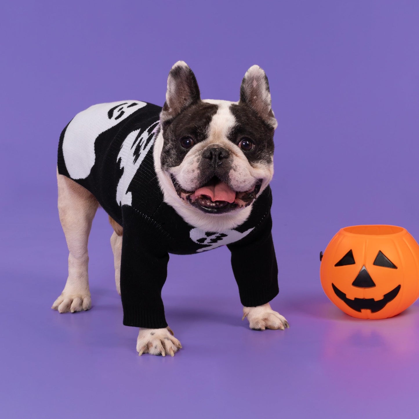 Fitwarm Halloween Ghost Dog Sweater, Funny Costumes for Dogs, Pet Apparel, Black, White, Medium