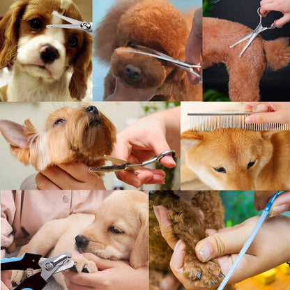 Freewindo Dog Grooming Scissors Kit, Safety Round Tip, Heavy Duty Stainless Steel Dog Scissors and Nail Clippers, 6 in 1 Dog Grooming Kit