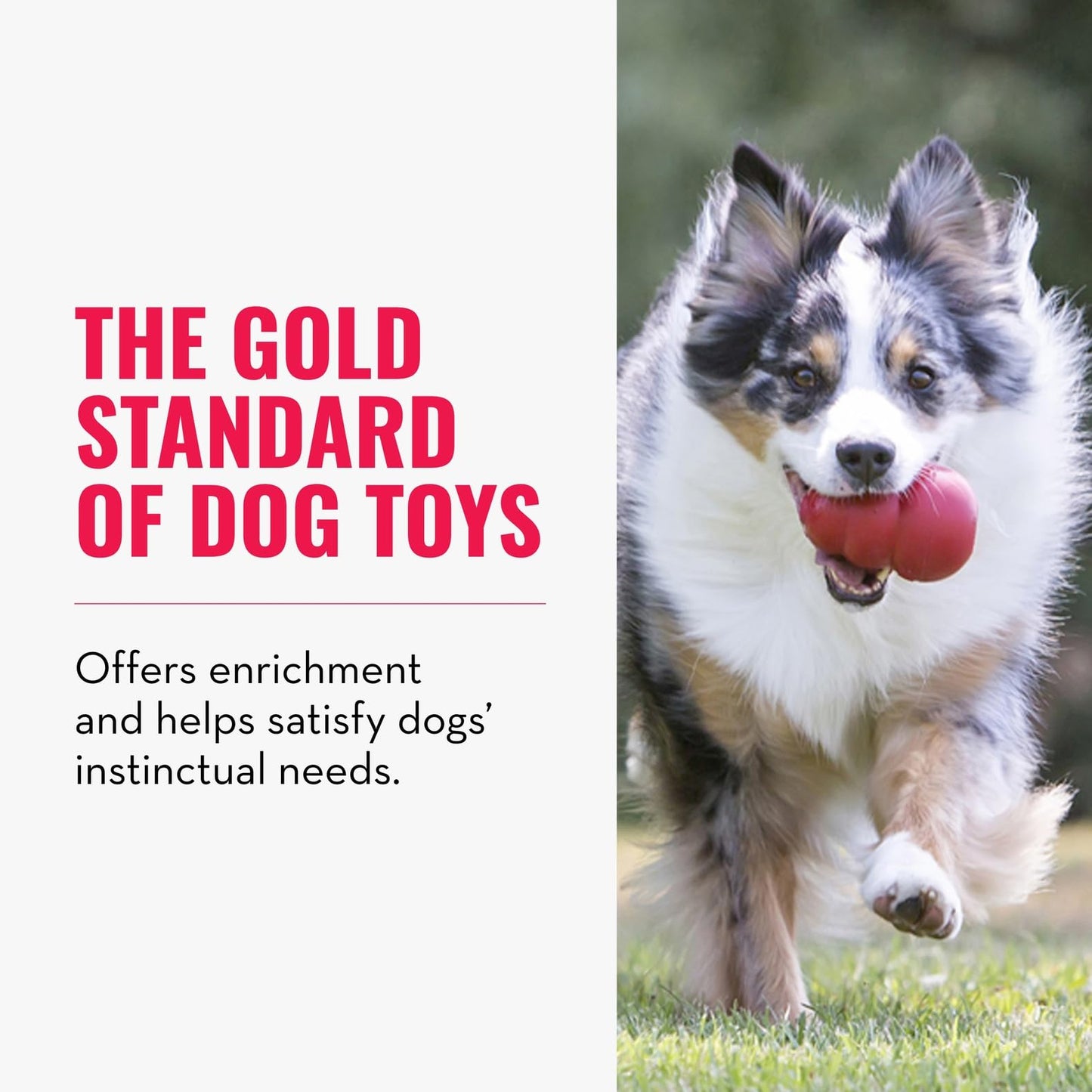 KONG Classic Stuffable Dog Toy - Fetch & Chew Toy for Dogs - Treat-Filling Capabilities & Erratic Bounce for Extended Play Time - Durable Natural Rubber Material - for Extra Small Dogs