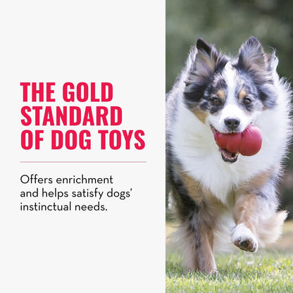 KONG Classic Stuffable Dog Toy - Fetch & Chew Toy for Dogs - Treat-Filling Capabilities & Erratic Bounce for Extended Play Time - Durable Natural Rubber Material - for Extra Small Dogs