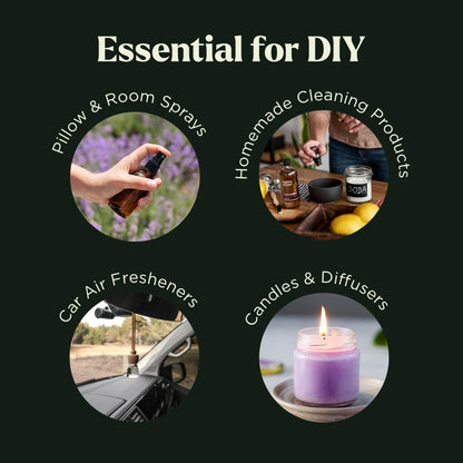 Lagunamoon Essential Oils Set - Top 6 Blends for Diffusers, Home Care, Candle Making Scents, Fragrance, Aromatherapy, Humidifiers, Gifts - Peppermint, Tea Tree, Lavender, Eucalyptus, Orange (10mL)