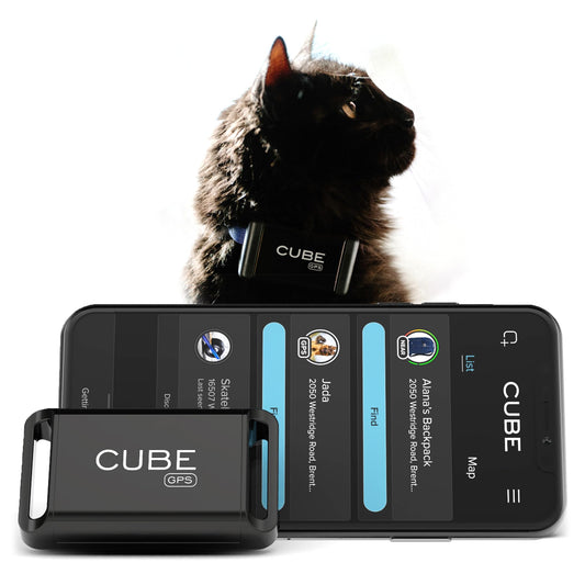 Cube GPS Tracker for Vehicles Assets Kids, Mini GPS Trackers for Dogs, Car Tracker Device: Real Time Worldwide Location SOS Pings Geo-Fencing + Rechargeable Battery Requires Subscription