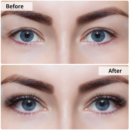 3D Natural Magnetic Eyelashes with Eyeliner Kit, Lightweight Lashes Natural Look, 12 Pairs False Lashes Kit, No Glue Needed Reusable Easy to Use (12 Pair)