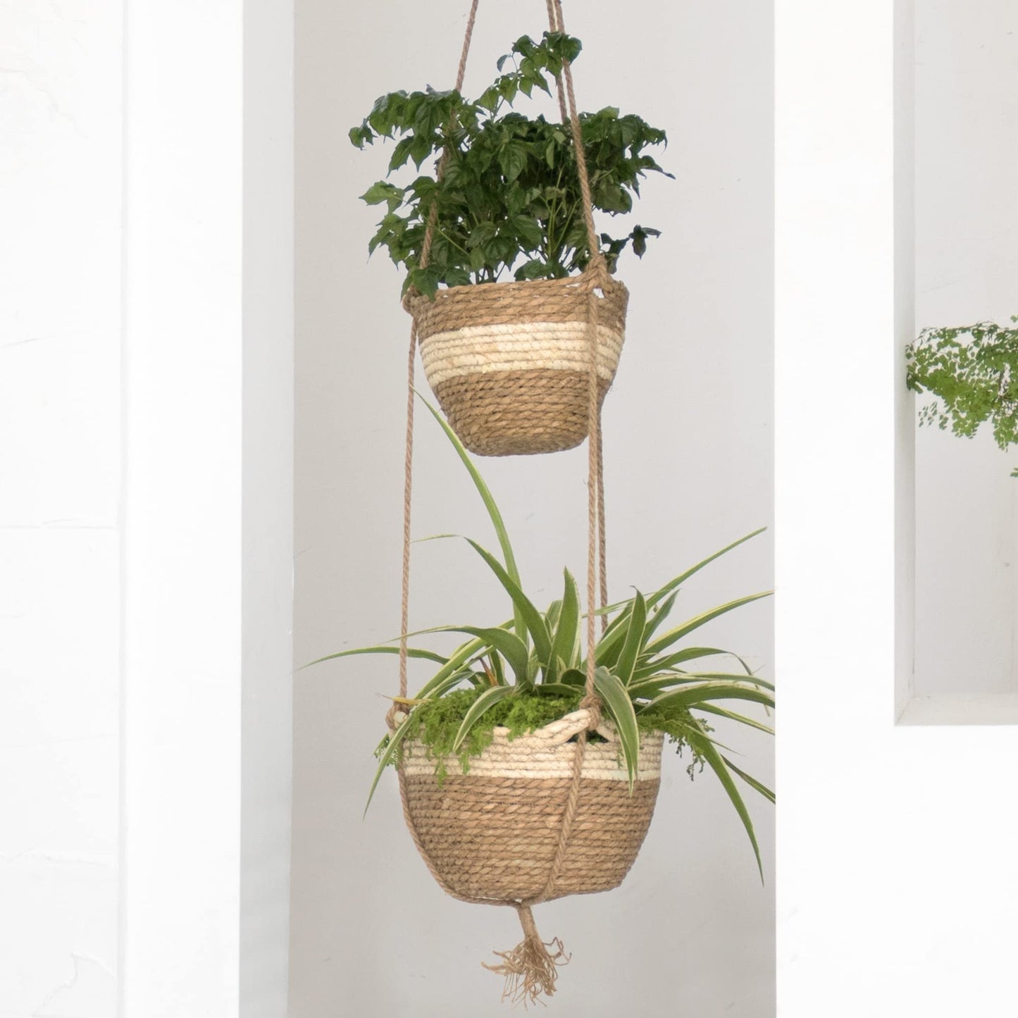 LA JOLIE MUSE Hanging Planter Basket Indoor Outdoor,Natural Seagrass Flower Plant Pots, Beige