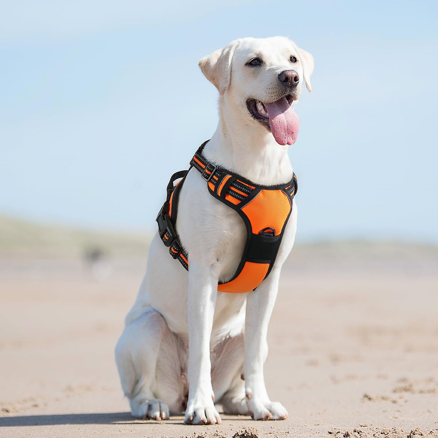 Eagloo Dog Harness for Large Dogs, No Pull Service Vest with Reflective Strips and Control Handle, Adjustable and Comfortable for Easy Walking, No Choke Pet Harness with 2 Metal Rings, Orange, L