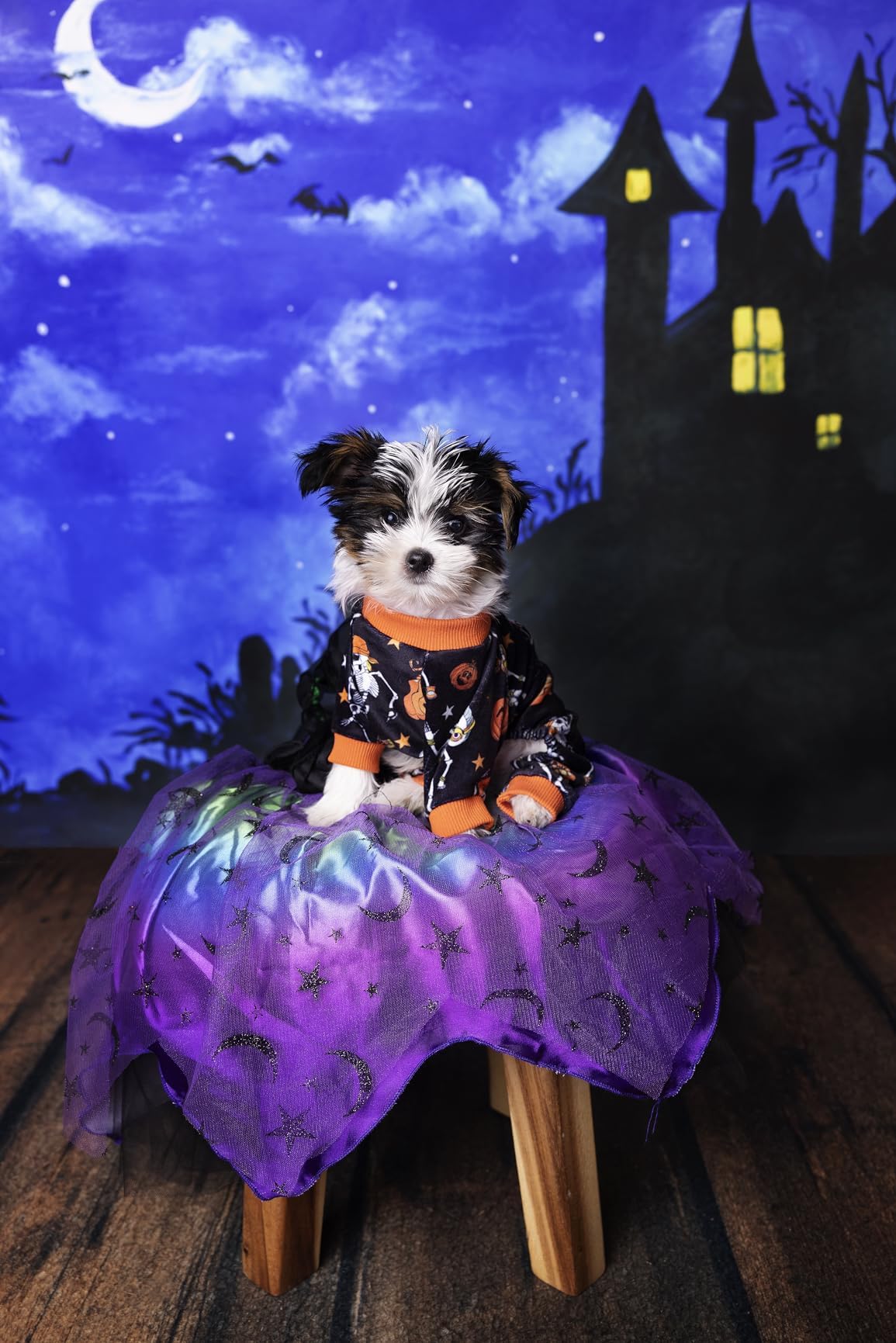 Fitwarm Halloween Skeleton Dog Costume Lightweight Velvet Pajamas Pet Clothes Doggie PJS Puppy Onesie Doggy Outfits Cat Jumpsuits Black Large