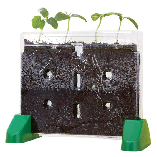 Educational Insights Sprout & Grow Window - See-Through Sprouts Growing Kit, Kids Gardening Set, Starter Science Kits for Kids, Root Viewer, Interactive Homeschool or Classroom Planter, Ages 5+