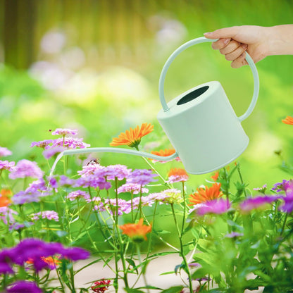 Lechloris Indoor Watering Can for Houseplants-Long Spout Metal Watering Can for Indoor Plants, Succulents or Outdoor Garden Flower, 1.3L / 40 oz Mint