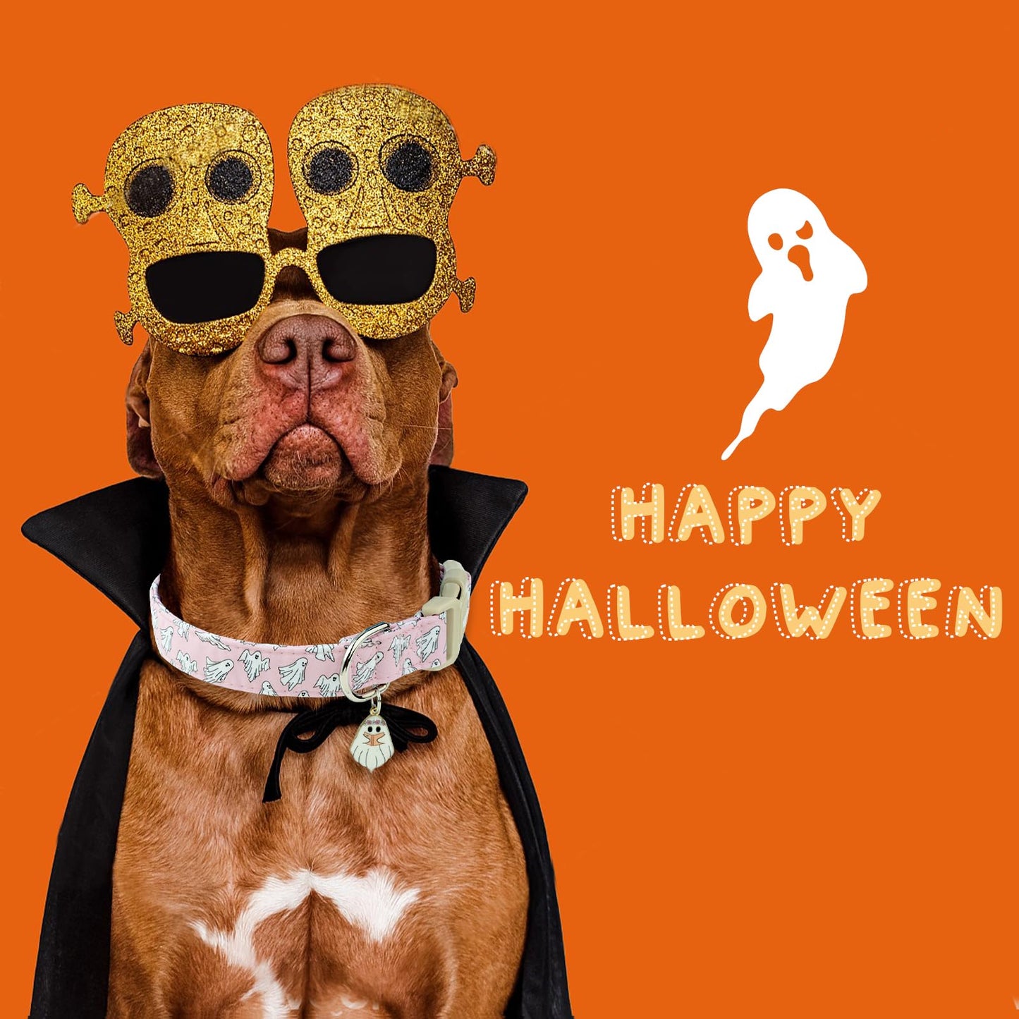 Faygarsle Pink Ghost Pattern Dog Collar with Charm, Halloween Pet Necklace, Adjustable Collar for Small Medium Large Dogs M