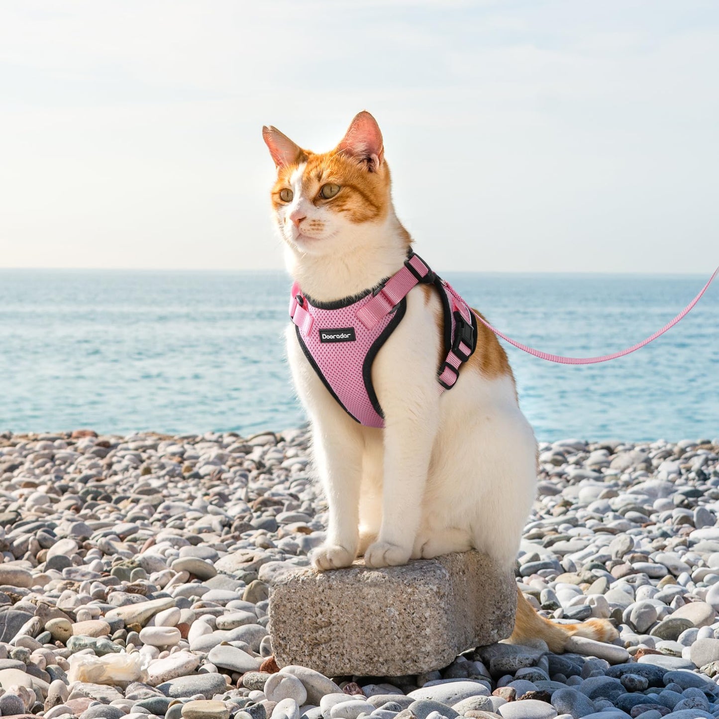 Dooradar Cat Harness and Leash Set, Escape Proof Safe Adjustable Kitten Vest Harnesses for Walking, Easy Control Soft Breathable Mesh Jacket with Reflective Strips for Cats, Pink, M