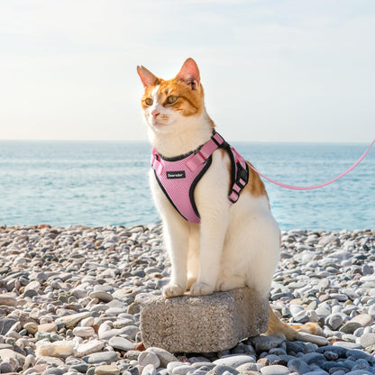 Dooradar Cat Harness and Leash Set, Escape Proof Safe Adjustable Kitten Vest Harnesses for Walking, Easy Control Soft Breathable Mesh Jacket with Reflective Strips for Cats, Pink, M