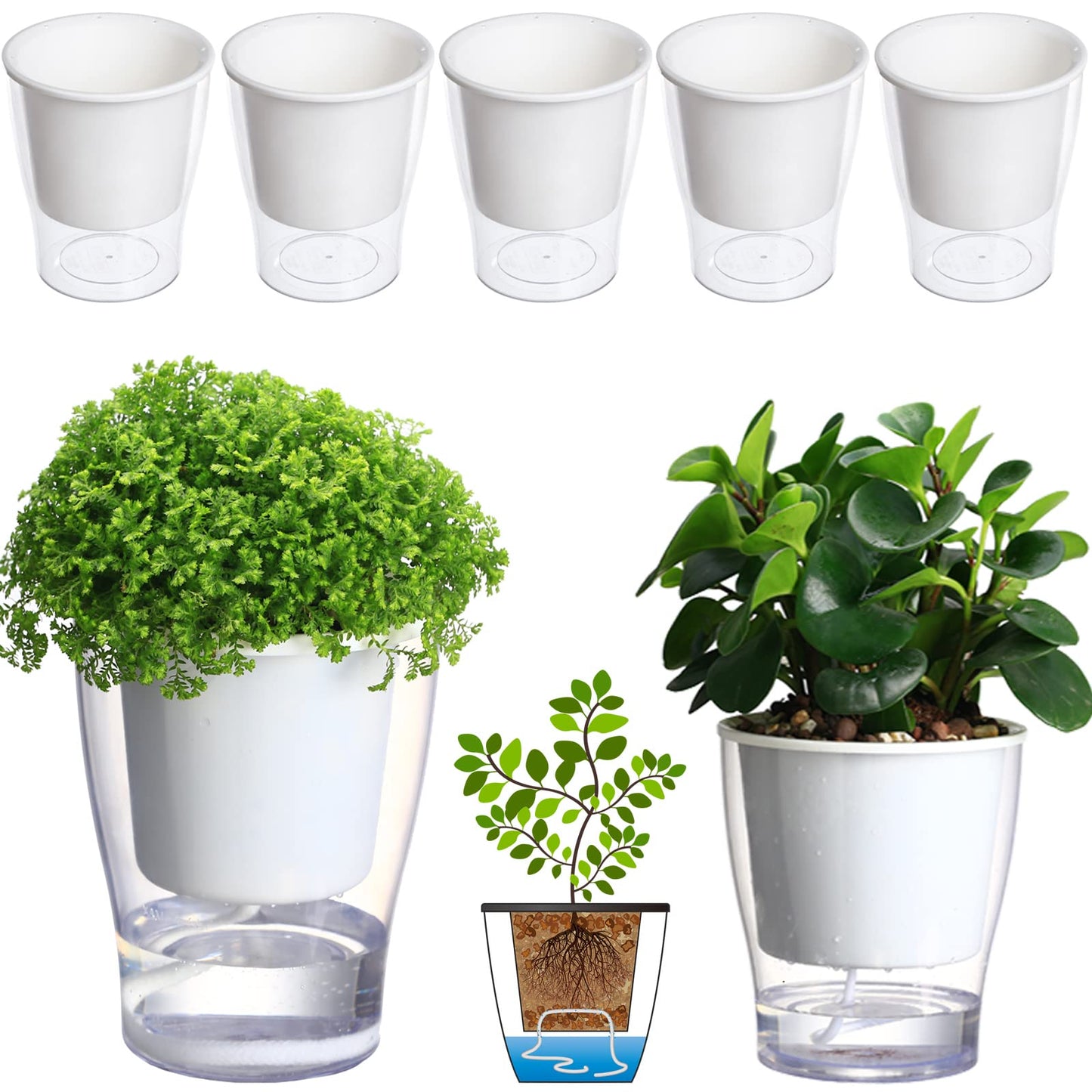 5-Pack 4.3 Inches Clear Self-Watering Planters Small African Violet Pots Plastic Plant Pots Wicking Flower Pots for Indoor Plants, Herbs, African Violet, Ocean Spider Plant, Orchid Pot, Garden Pots