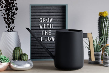 35 Ounce Metal Small Indoor Watering Can with Long Spout & Real Wood Handle for House Plants, Succulents, Cacti & Seedlings - Black Long Spout Watering Can Indoor Plants - Gentle Flow & No Spills