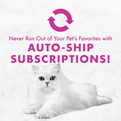 Fancy Feast Chicken Feast Classic Pate Collection Grain Free Wet Cat Food Multi-Pack - (2 Packs of 12) 3 oz. Cans