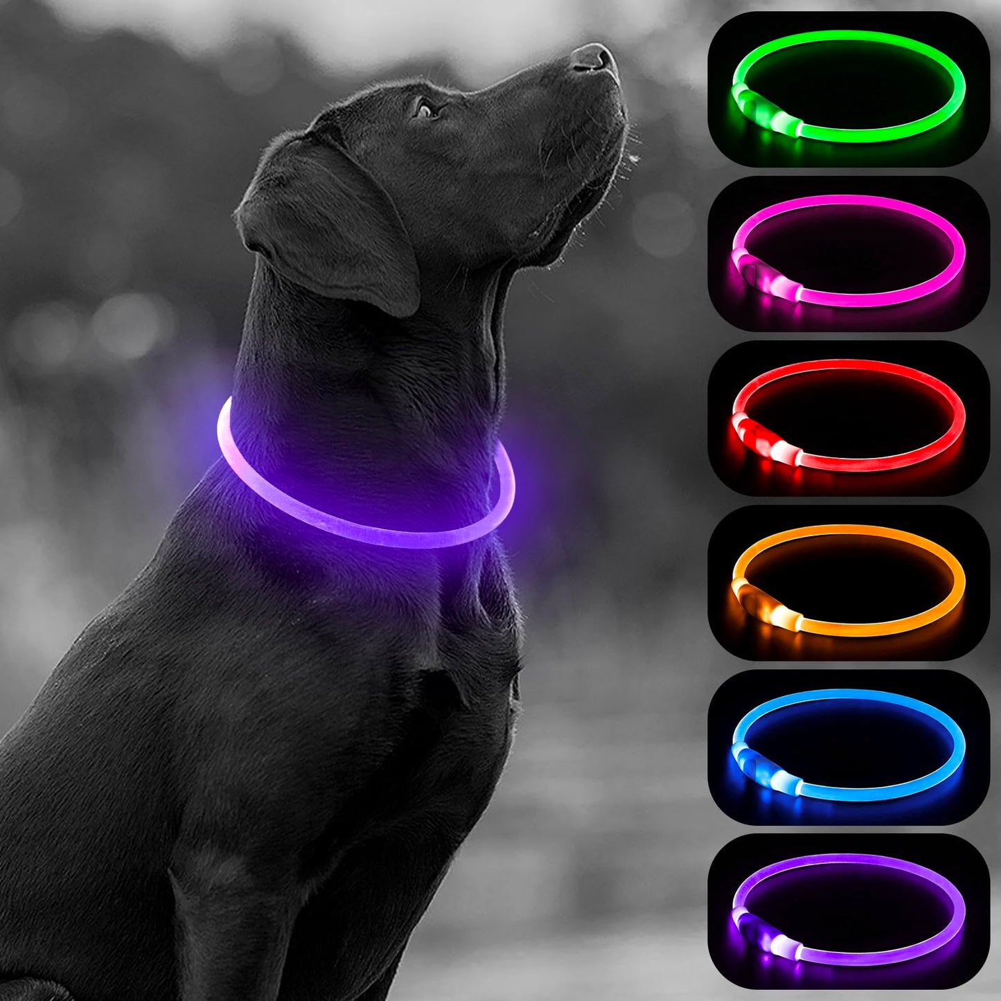 HIGO Light Up Dog Collar, LED Dog Collar for Night Safety with 3 Modes, Type-C Rechargeable & Adjustable TPU Material for Small Medium Large Dogs (Purple)