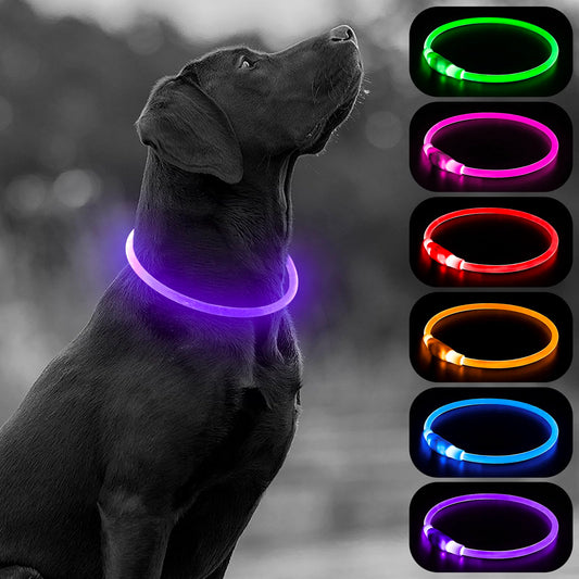 HIGO Light Up Dog Collar, LED Dog Collar for Night Safety with 3 Modes, Type-C Rechargeable & Adjustable TPU Material for Small Medium Large Dogs (Purple)