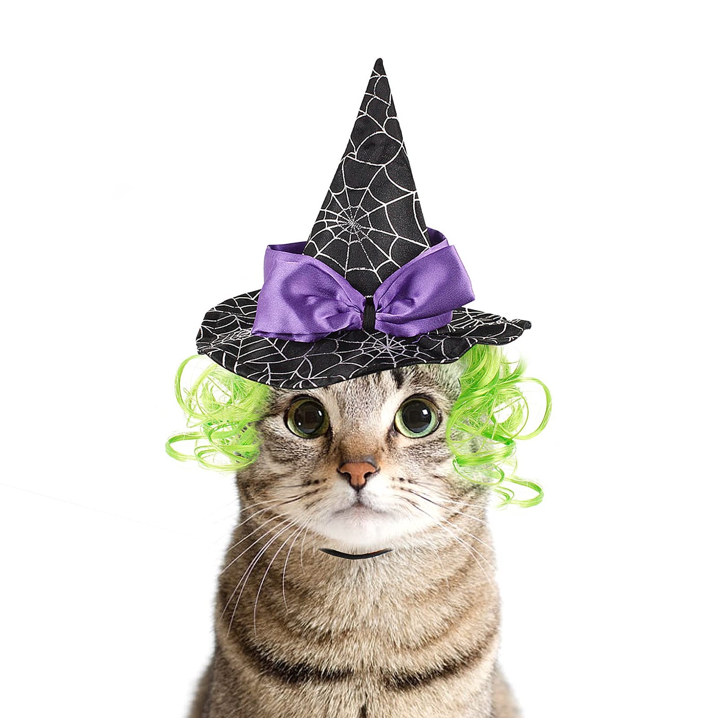LESYPET Cat Halloween Costume Hat Dog Hat, Wizard Hat with Green Wig for Dog Cat Cosplay for Halloween, Christmas, Party