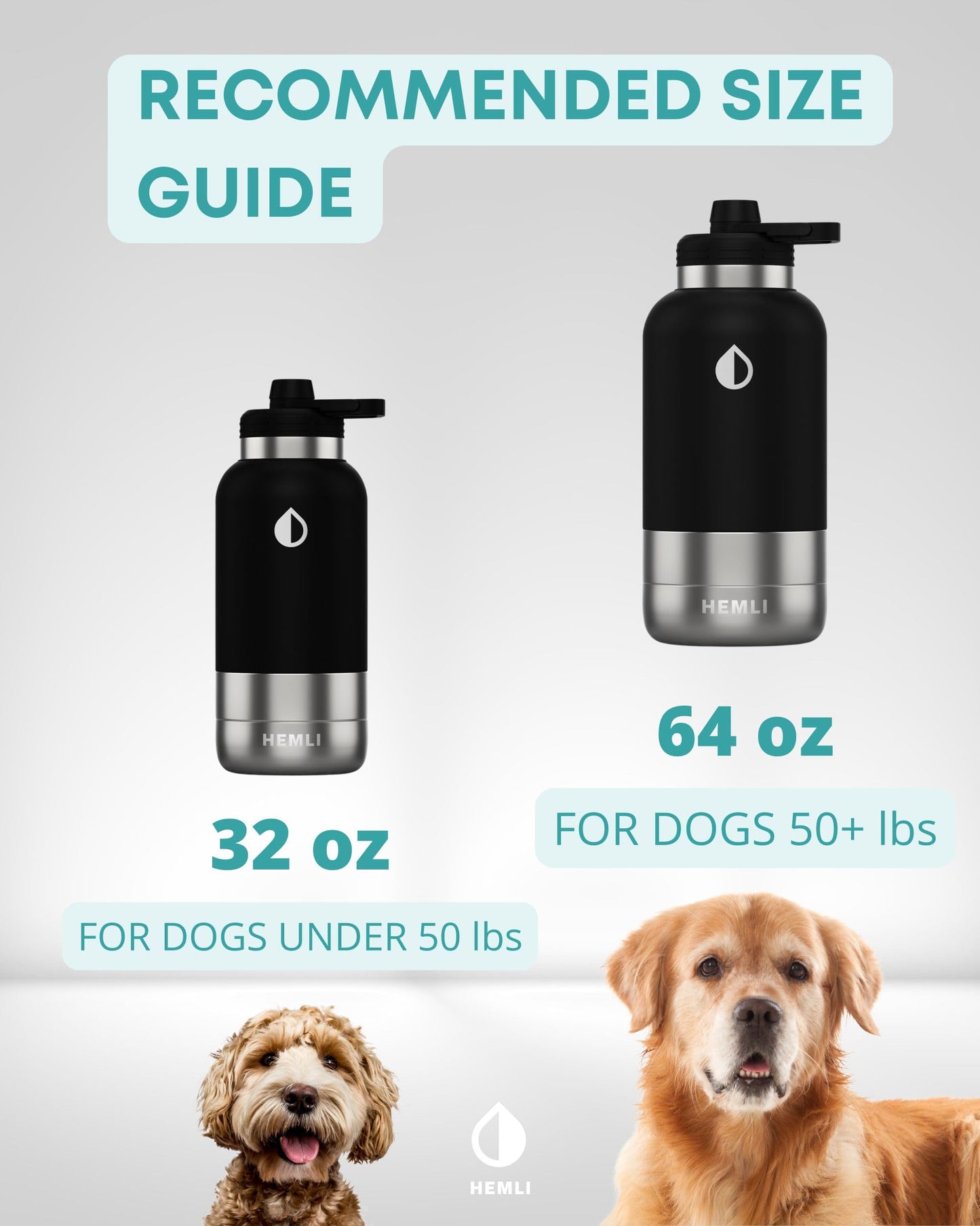 Dog Water Bottle, Insulated Dog Travel Water Bottle, Stainless Steel Pet Water Bottle Dispenser Portable Food and Water Bowl for Dogs with Carrying Case for Walking Dog Canteen Travel Kit