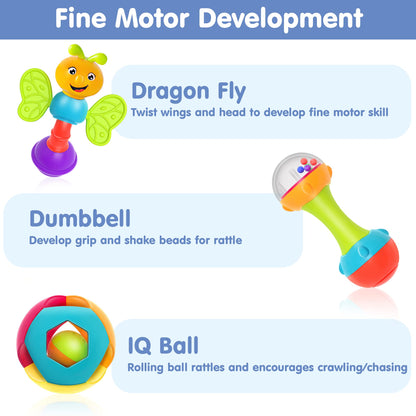 iPlay, iLearn 10pcs Baby Rattles Toys Set, Infant Grab Shake Rattle, Easy Hold Sensory Teether, Babies Development Learning Music Toy, Newborn Shower Birthday Gift 1 2 3 4 5 6 7 9 10 12 Month Boy Girl