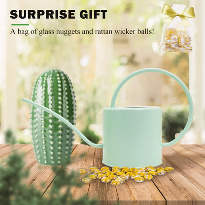 Lechloris Indoor Watering Can for Houseplants-Long Spout Metal Watering Can for Indoor Plants, Succulents or Outdoor Garden Flower, 1.3L / 40 oz Mint