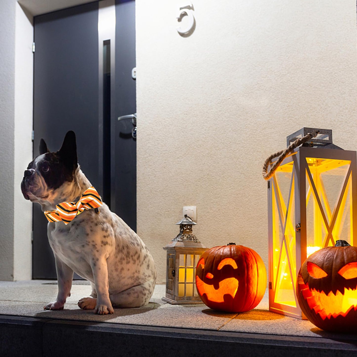 Elegant little tail Dog Collar, Fall Dog Collar Orange Stripe Holiday Pet Collar Dog Halloween Dog Bow Collar Pet Durable Adjustable Girl Boy Dog Collar for Small Dogs