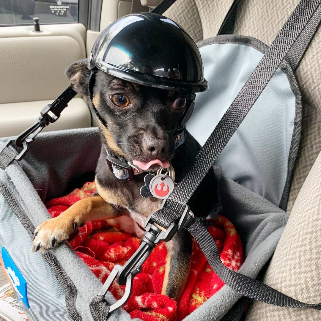 Enjoying Dog Helmet for Small Dogs, Motorcycle Dog Helmets Chihuahua Helmet, Outdoor Bike Doggie Helmets Cat Hat XS to Small Breed, Outdoor Puppy Cap, Adjustable, Black S