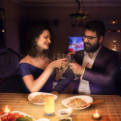 LED Flame Effect Light, USB Rechargeable Outdoor Flame Table Lamp Waterproof Dimmable 4 Modes Lantern with Gravity Sensing Effect IR Wireless Remote&Timer, For Halloween Room Party Bar Decor