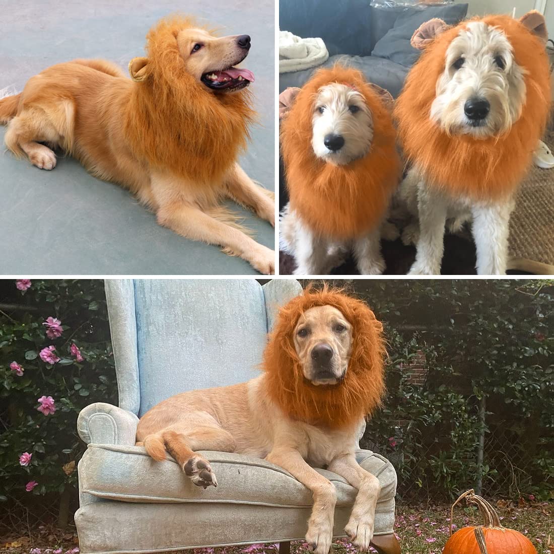 CPPSLEE Lion Mane for Dog Costumes, Realistic Wig for Medium to Large Sized Dogs, Halloween Costumes (Brown)