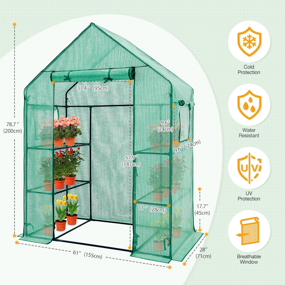 EAGLE PEAK Walk in 3-Tier Greenhouse with Wire Shelves, Portable Indoor and Outdoor Green House with Roll-Up Zippered Door & 2 Roll Up Side Windows, 4 Shelves, 61"x28"x79", Clear/Green PE Cover