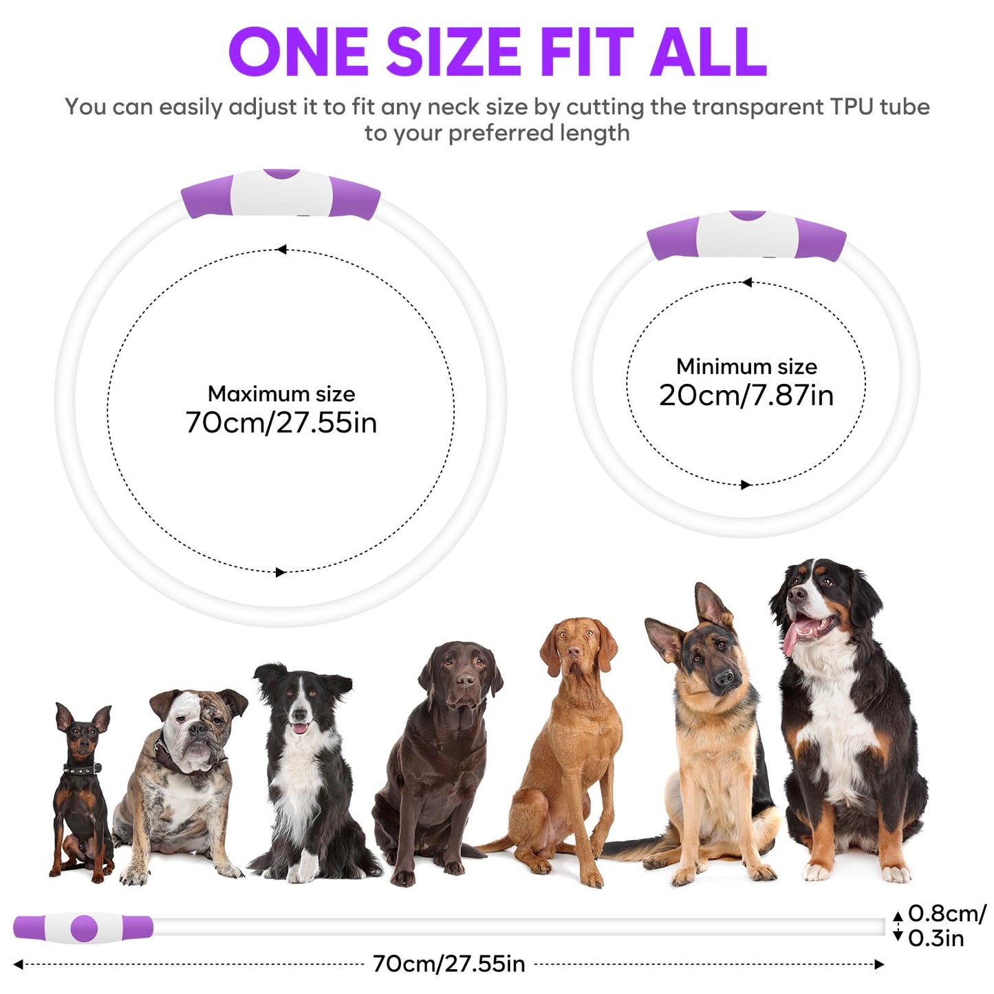 HIGO Light Up Dog Collar, LED Dog Collar for Night Safety with 3 Modes, Type-C Rechargeable & Adjustable TPU Material for Small Medium Large Dogs (Purple)