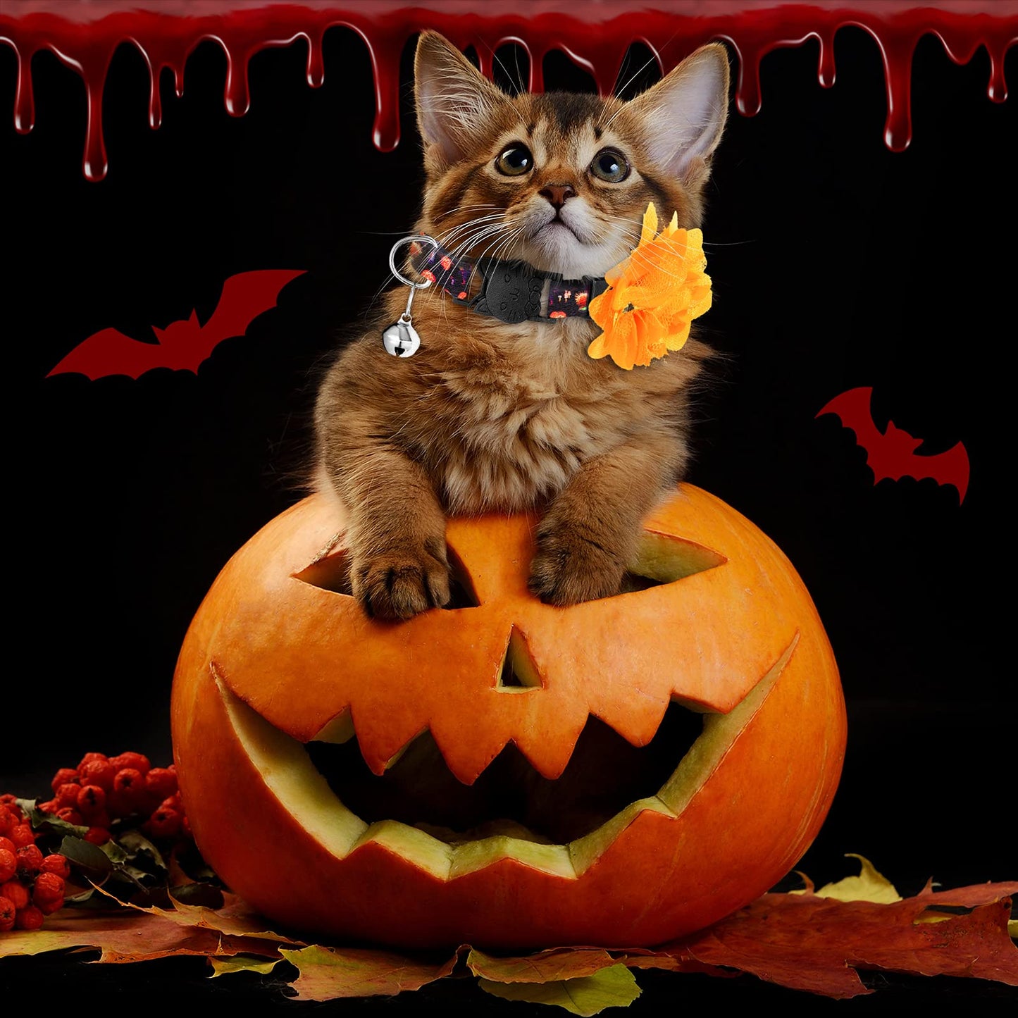4 Pieces Halloween Cat Collar Breakaway Cat Collars with Bell and Removable Flowers Pumpkin Ghost Kitty Collars Quick Release Adjustable Pet Collar for Cat
