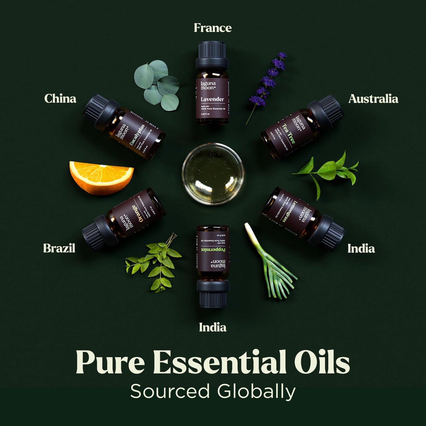 Lagunamoon Essential Oils Set - Top 6 Blends for Diffusers, Home Care, Candle Making Scents, Fragrance, Aromatherapy, Humidifiers, Gifts - Peppermint, Tea Tree, Lavender, Eucalyptus, Orange (10mL)